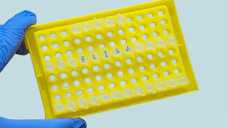 competitive elisa data analysis excel